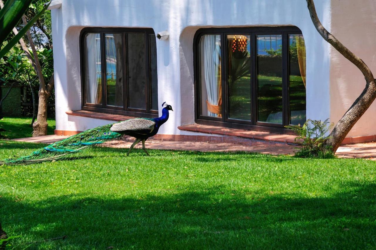 Arbatax Park Resort - Ville Del Parco エクステリア 写真